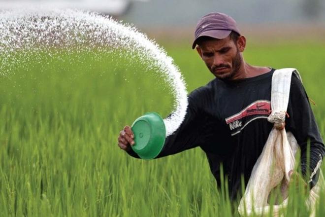 “රසායනික පොහොර තහනම් කළ ගැසට් නිවේදනය වැරදි උපදෙසින් සිදුවූවක්” – අමාත්‍යංශ ලේකම්