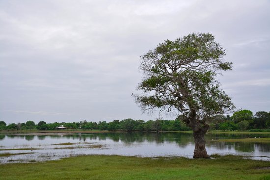 වෙලන්ගහ වැවේ ඉදිකිරීම් කටයුතු ඇරඹෙයි