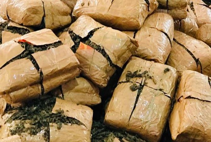 මුහුදු මාර්ගයෙන් මෙරට ගෙන ඒමට තැත් කළ මිලියන 30කට අධික කේරළ ගංජා තොගයක් හසුවේ මුහුදු මාර්ගයෙන් මෙරට ගෙන ඒමට තැත් කළ මිලියන 30කට අධික කේරළ ගංජා තොගයක් හසුවේ