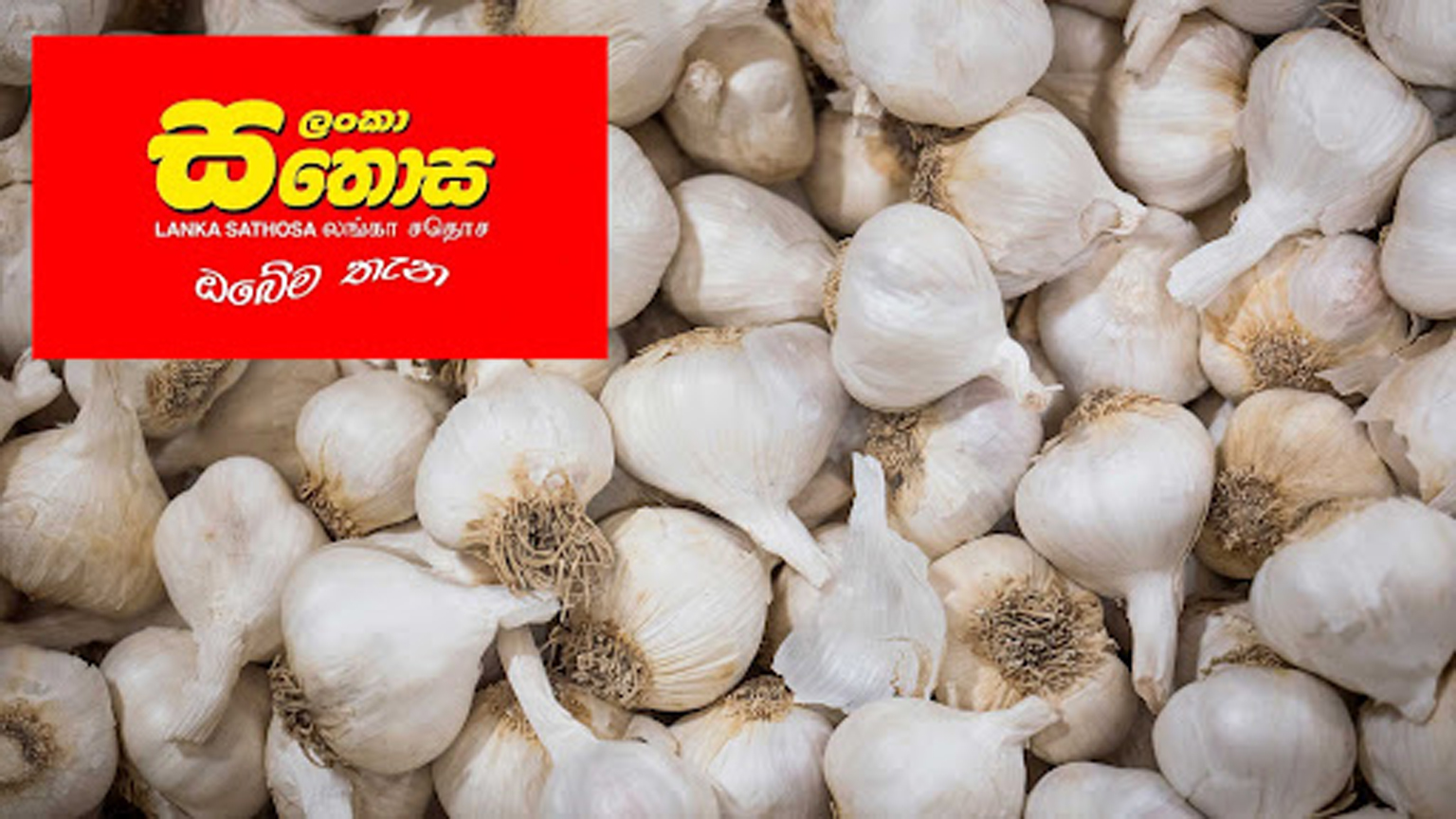 සුදුලූනු වංචාවට අත්අඩංගුවට ගත් 5ටම ඇප සුදුලූනු වංචාවට අත්අඩංගුවට ගත් 5ටම ඇප
