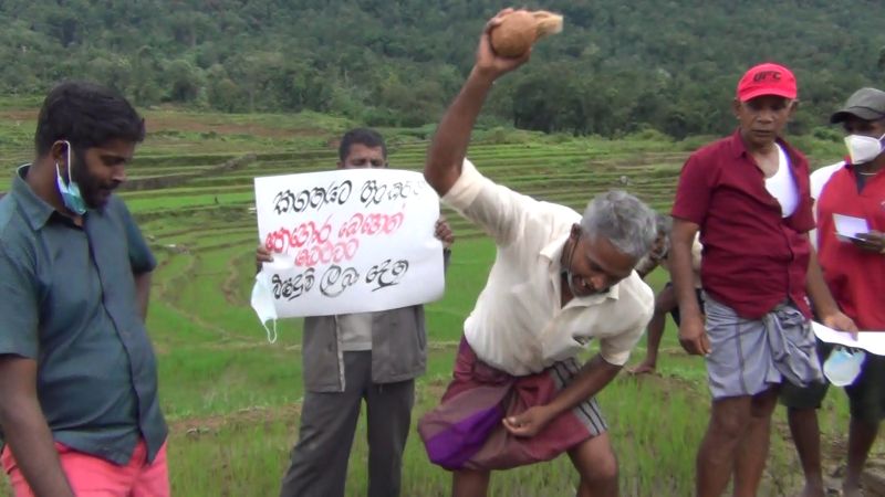 පොහොර ඉල්ලා ගොවීන් දේව කන්නලව්වක