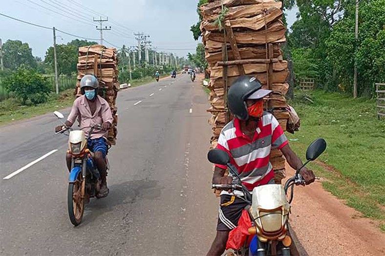 උතුරේ ජනතාව ගෑස් හිඟයට උත්තර සෙවූ හැටි