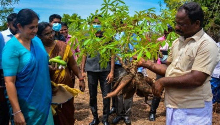 වාකරේ පිහිටි ගොවි බිම් නිරීක්ෂණය කෙරේ