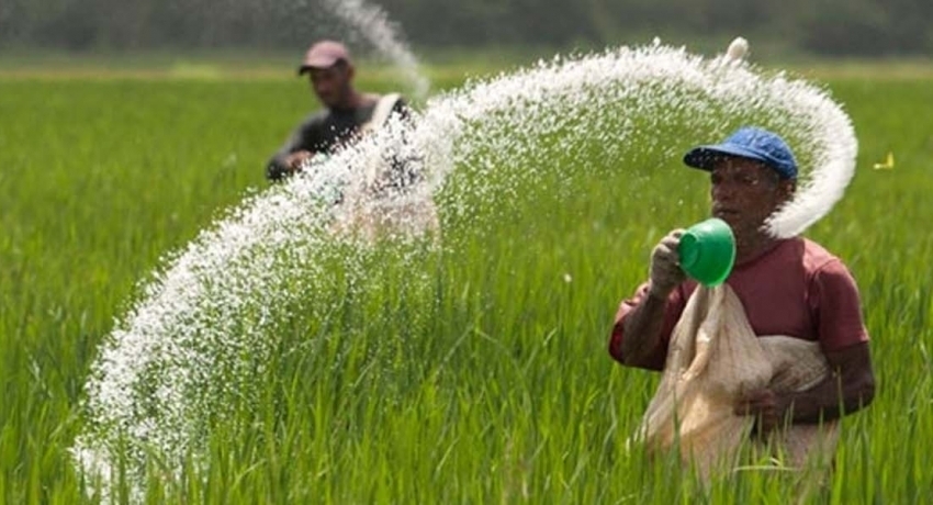 පොහොර හිඟය සතියක් තුළ නිමයි පොහොර හිඟය සතියක් තුළ නිමයි