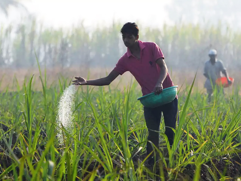 ග්ලයිෆොසෙට් ආනයනයට අවසර