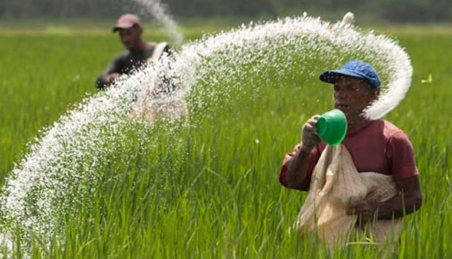 ඇතැම් ප්‍රදේශවලට තවමත් පොහොර ලැබී නැහැ – ගොවීන්ගෙන් චෝදනා (VIDEO)