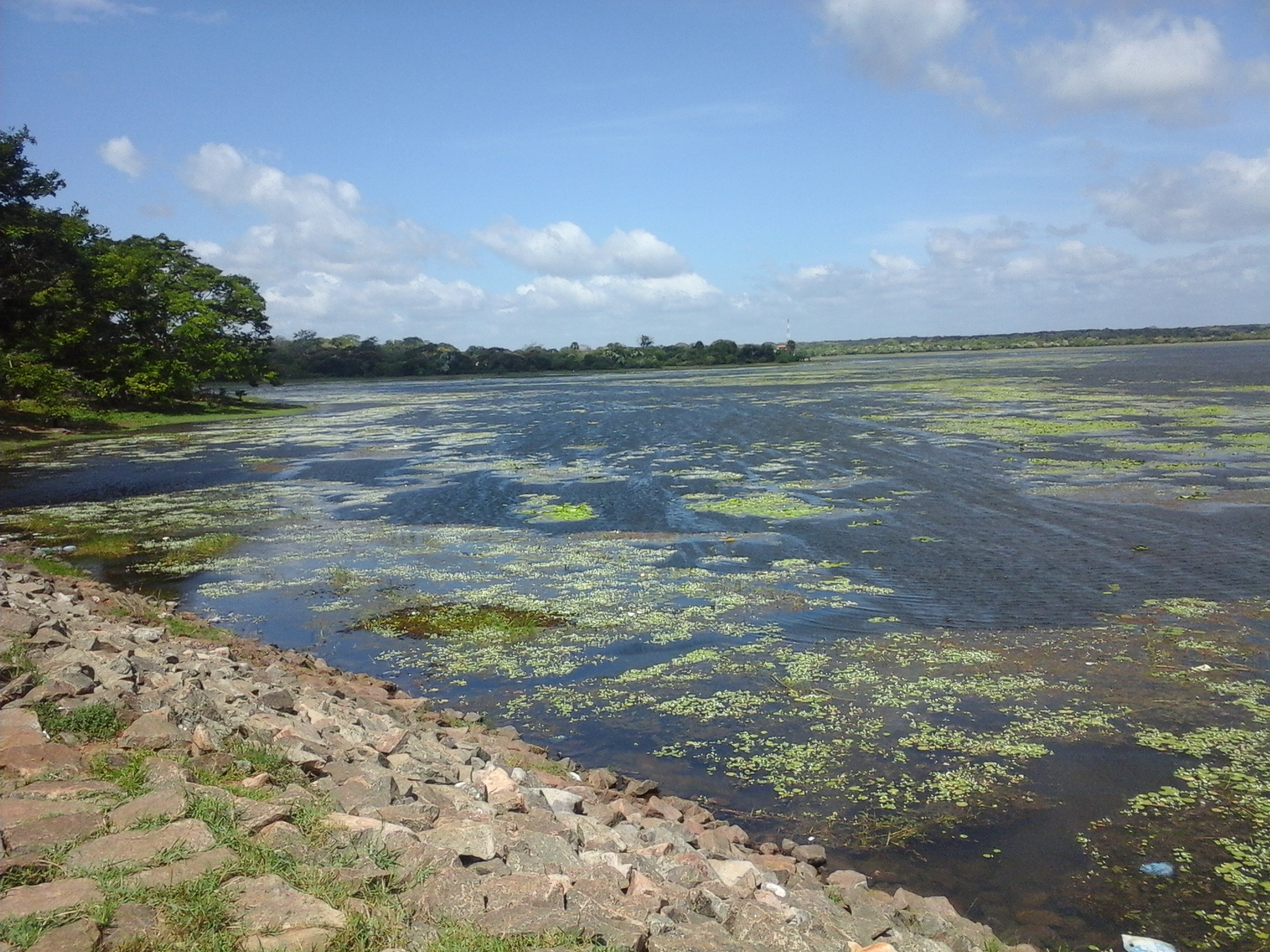 අතැර දැමූ වැව් 30කට යළි  ජීවය