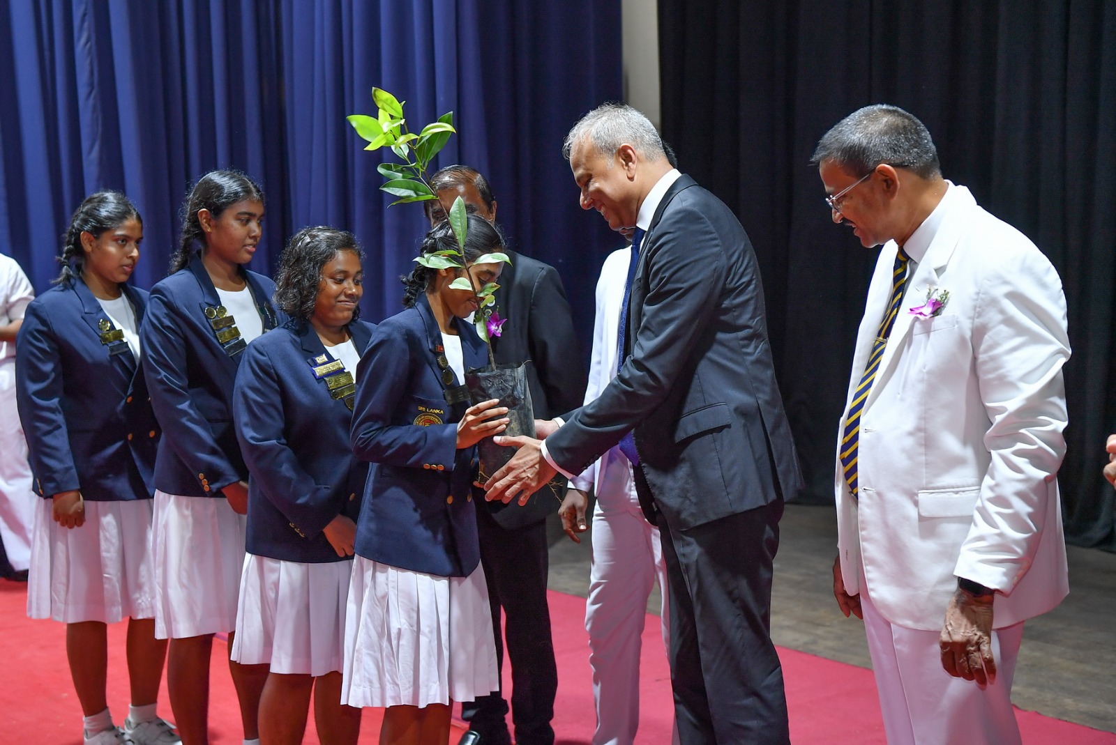 පැළ 10,000ක් සිටුවීමේ වැඩසටහනක් ඇරඹේ පැළ 10,000ක් සිටුවීමේ වැඩසටහනක් ඇරඹේ