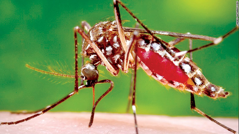 ඩෙංගු මර්දනය වෙනුවෙන් සෑම සිකුරාදා දිනකම රාජ්ය ආයතනවල විශේෂ වැඩසටහන් ඩෙංගු මර්දනය වෙනුවෙන් සෑම සිකුරාදා දිනකම රාජ්ය ආයතනවල විශේෂ වැඩසටහන්