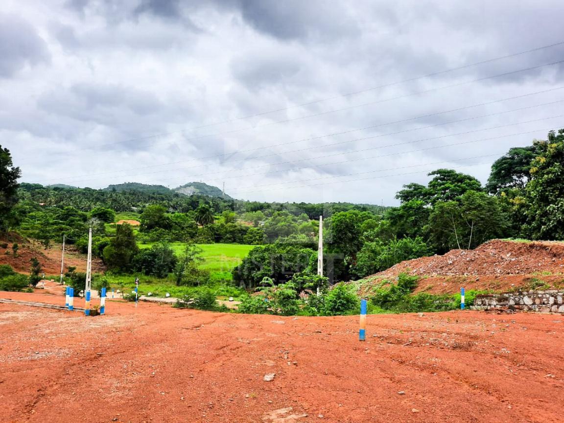 ඉඩම් ඔප්පු ලැබෙන්නේ මෙහෙමයි ඉඩම් ඔප්පු ලැබෙන්නේ මෙහෙමයි