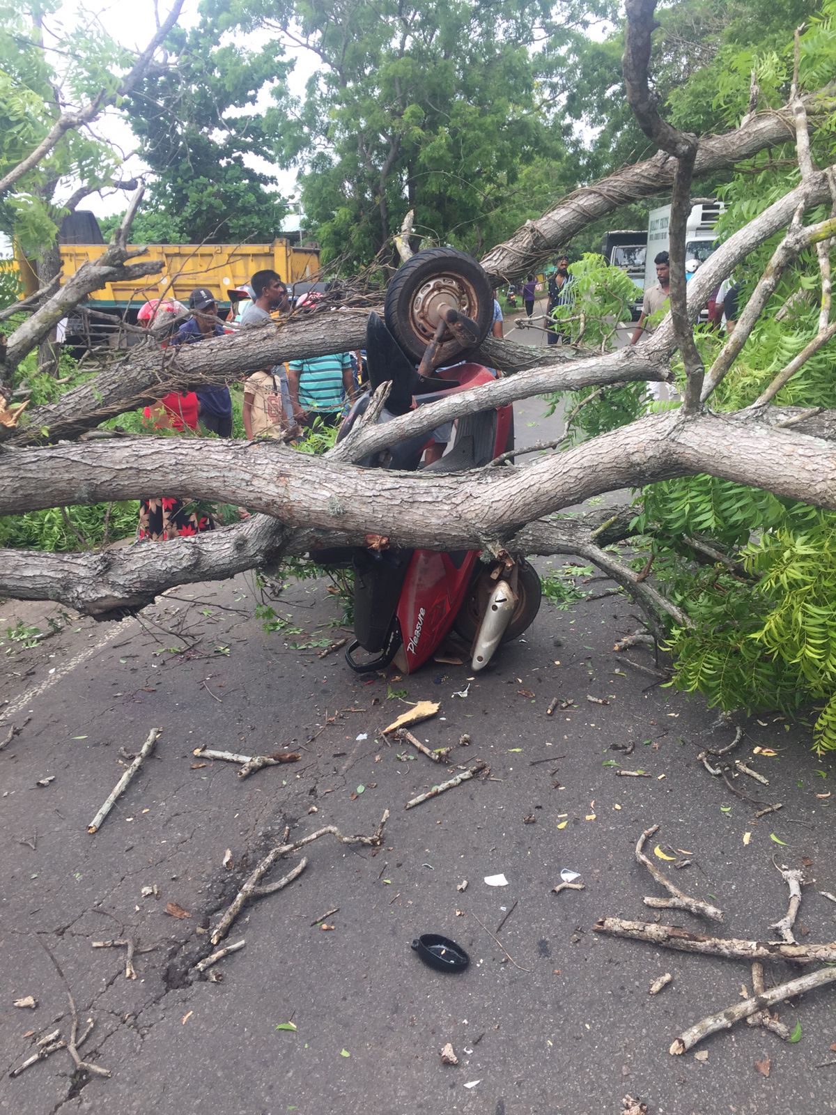 ගමන් කරමින් තිබූ යතුරු පැදියකට ගසක් කඩා වැටී තරුණියක් මරුට