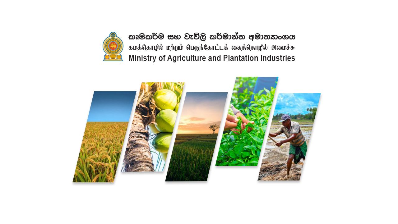 ඉරාන ජනපති වියෝව නිසා ජාත්‍යන්තර තේ දින උත්සවය අවලංගුයි