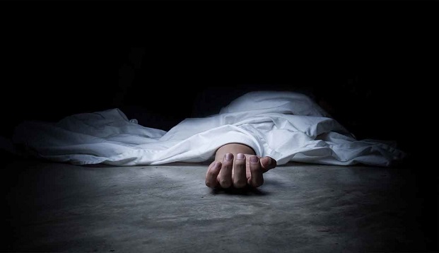 දෙමස්සිනා දබරයෙන් ජීවිතයක් අහිමි වෙයි දෙමස්සිනා දබරයෙන් ජීවිතයක් අහිමි වෙයි