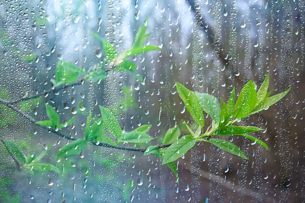 අද වැසි වාර කිහිපයක්