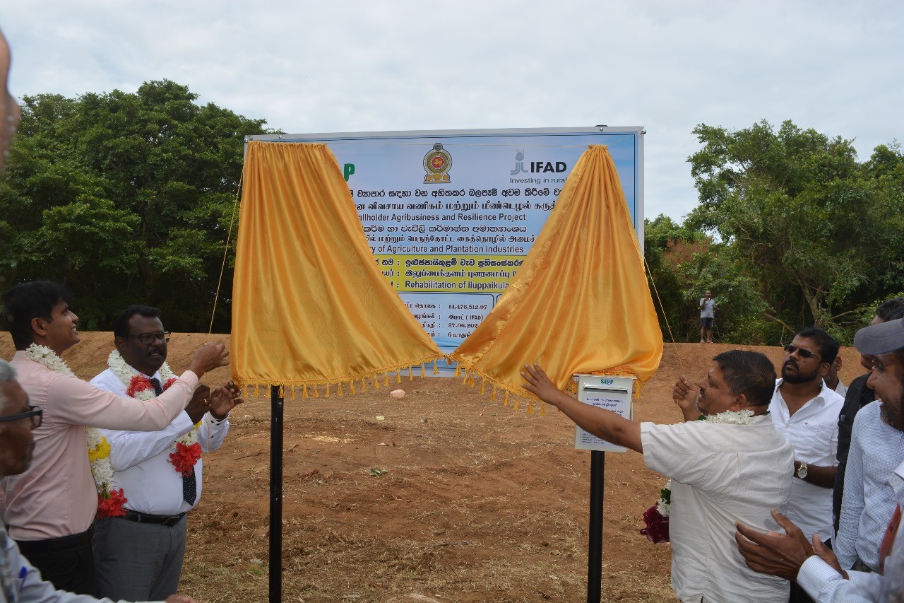 වව්නියාව කෘෂිකර්මාන්තය නඟා සිටුවීමට වැව් හතක ප්‍රතිසංස්කරණ කටයුතු ඇරඹේ