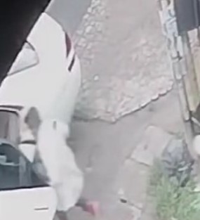 අතුරුගිරියේ වෙඩික්කරුවන් පැමිණි මෝටර් රථය සොයාගැනේ අතුරුගිරියේ වෙඩික්කරුවන් පැමිණි මෝටර් රථය සොයාගැනේ