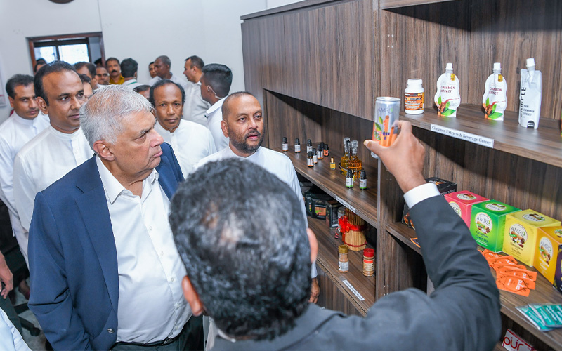 මෙරට පළමු වතාවට කුරුඳු වගාව සංවර්ධනයට නව දෙපාර්තමේන්තුවක් මෙරට පළමු වතාවට කුරුඳු වගාව සංවර්ධනයට නව දෙපාර්තමේන්තුවක්