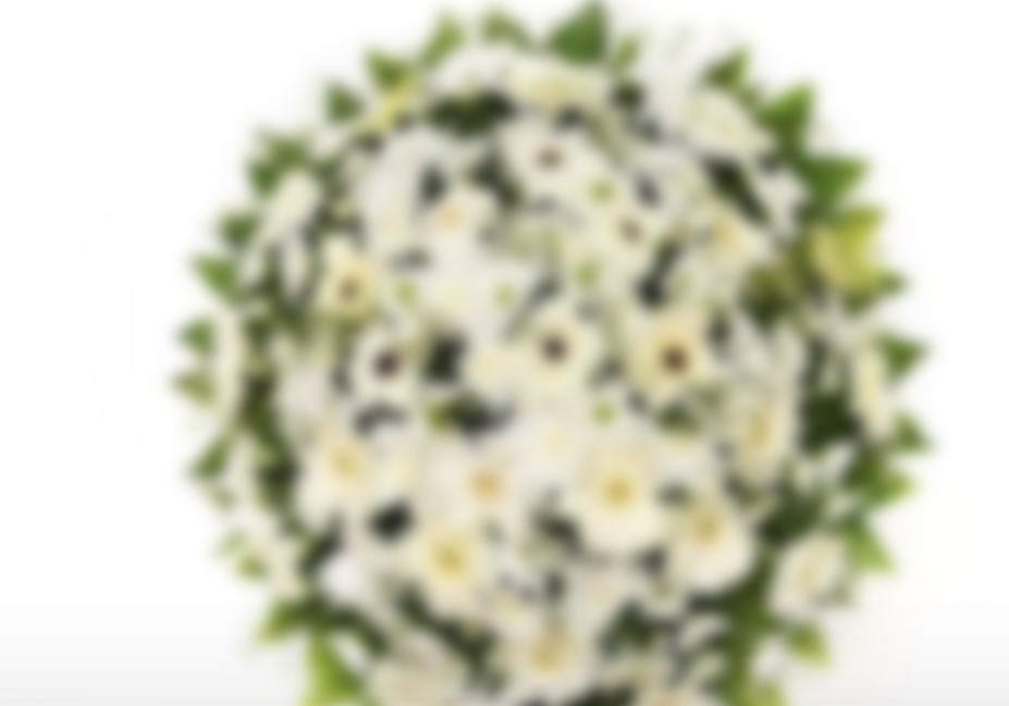 කංජිපානිගෙන් මල් ශාලා හිමිකරුට තර්ජන කංජිපානිගෙන් මල් ශාලා හිමිකරුට තර්ජන