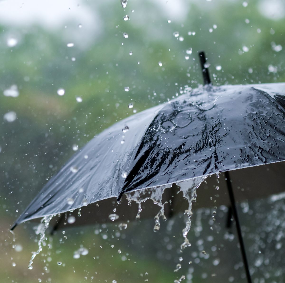 අදත් වැසි