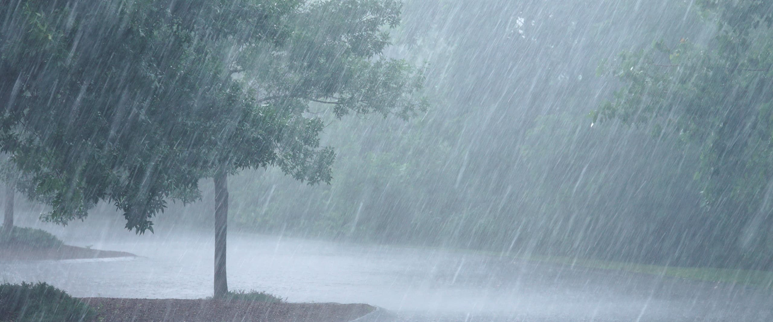 ප්රදේශ කිහිපයකට වැසි ප්රදේශ කිහිපයකට වැසි