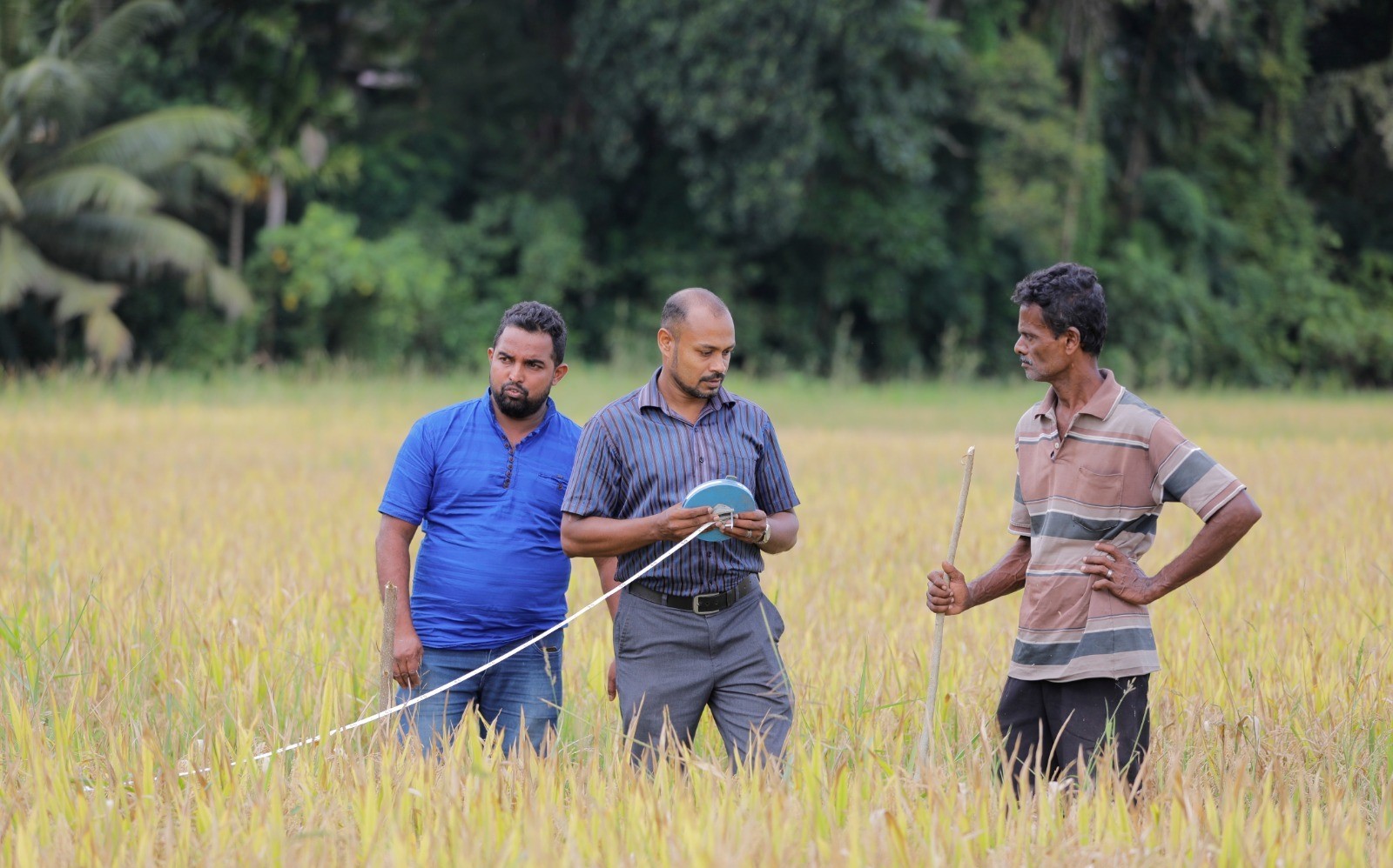 වී අස්වනු සමීක්ෂණ වැඩසටහන සඳහා ආංශික අධීක්ෂණ කාරක සභාව නිරීක්ෂණයක