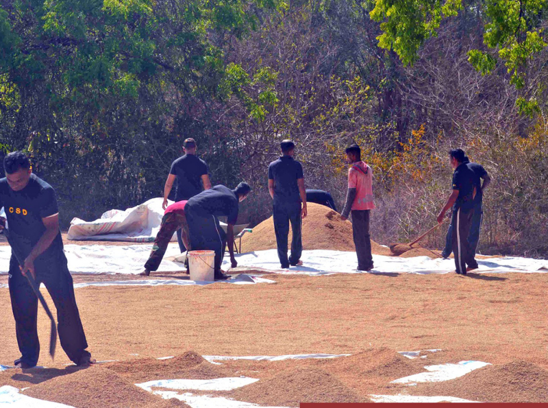 මෙරට ආහාර සුරක්‍ෂිතතාවයට සිවිල් ආරක්‍ෂක දෙපාර්තමේන්තුවේ දායකත්වය