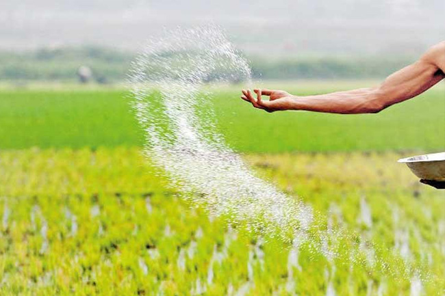 යල කන්නයට ප්රමාණවත් පොහොර පවතින බව අමාත්යංශයෙන් සහතිකයක් යල කන්නයට ප්රමාණවත් පොහොර පවතින බව අමාත්යංශයෙන් සහතිකයක්