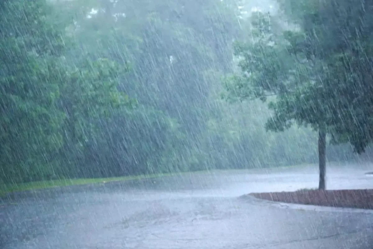 දිස්ත්‍රික්ක කිහිපයකට මි.මී. 75 ට වැඩි තද වැසි