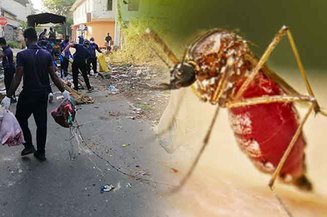 අද සිට ඩෙංගු මදුරු මර්ධනයට සතියක මෙහෙයුමක් අද සිට ඩෙංගු මදුරු මර්ධනයට සතියක මෙහෙයුමක්
