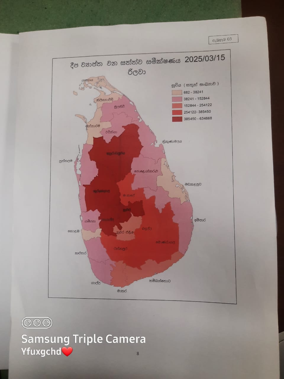 රිළව් සහ වදුරන් ගහනය ලක්ෂ 60 පනී රිළව් සහ වදුරන් ගහනය ලක්ෂ 60 පනී