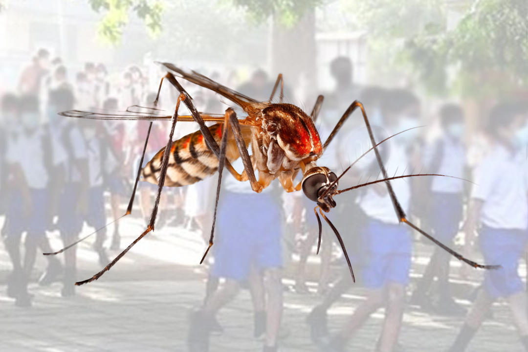 අවුරුදු 05-19ත් අතර පාසල් සිසුන්ට ඩෙංගු සහ චිකුන්ගුනයා පැතිරයාමේ අවදානමක් අවුරුදු 05-19ත් අතර පාසල් සිසුන්ට ඩෙංගු සහ චිකුන්ගුනයා පැතිරයාමේ අවදානමක්