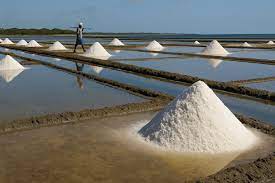 ලුණු මිල ගැන කියන කතා බොරු – වැඩි මිලට විකුණන්න බෑ ලුණු මිල ගැන කියන කතා බොරු – වැඩි මිලට විකුණන්න බෑ