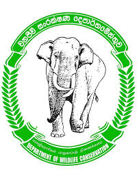බහුකාර්ය සංවර්ධන වනජිවි සහකාරවරුන් 3451කට ස්ථිර පත්වීම් බහුකාර්ය සංවර්ධන වනජිවි සහකාරවරුන් 3451කට ස්ථිර පත්වීම්