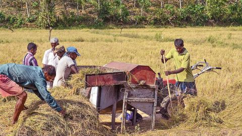 වී ගන්නේ නැතැයි ගොවියන්ගෙන් ආණ්ඩුවට මැසිවිලි වී ගන්නේ නැතැයි ගොවියන්ගෙන් ආණ්ඩුවට මැසිවිලි