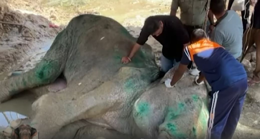 භාතිය අනිත් ඇලයට හරවන්න හෙට තවත් මෙහෙයුමක් (VIDEO) භාතිය අනිත් ඇලයට හරවන්න හෙට තවත් මෙහෙයුමක් (VIDEO)
