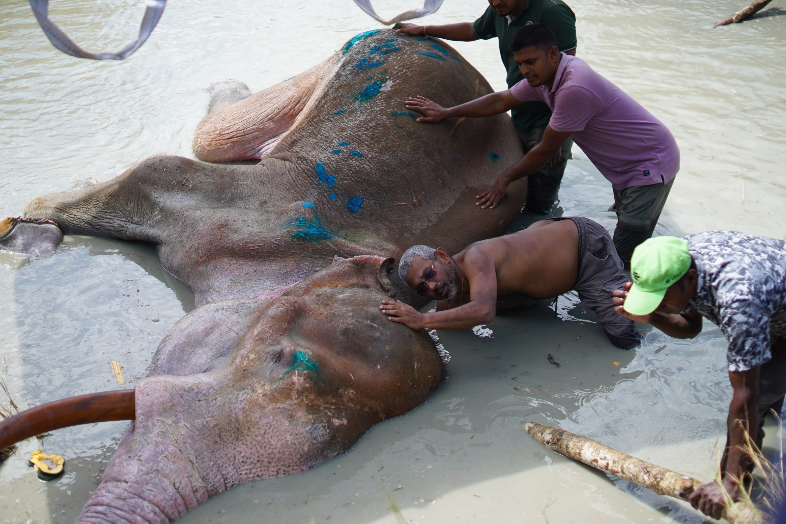භාතියට ප්රතිකාර කරන්න යුද හමුදාව යයි භාතියට ප්රතිකාර කරන්න යුද හමුදාව යයි