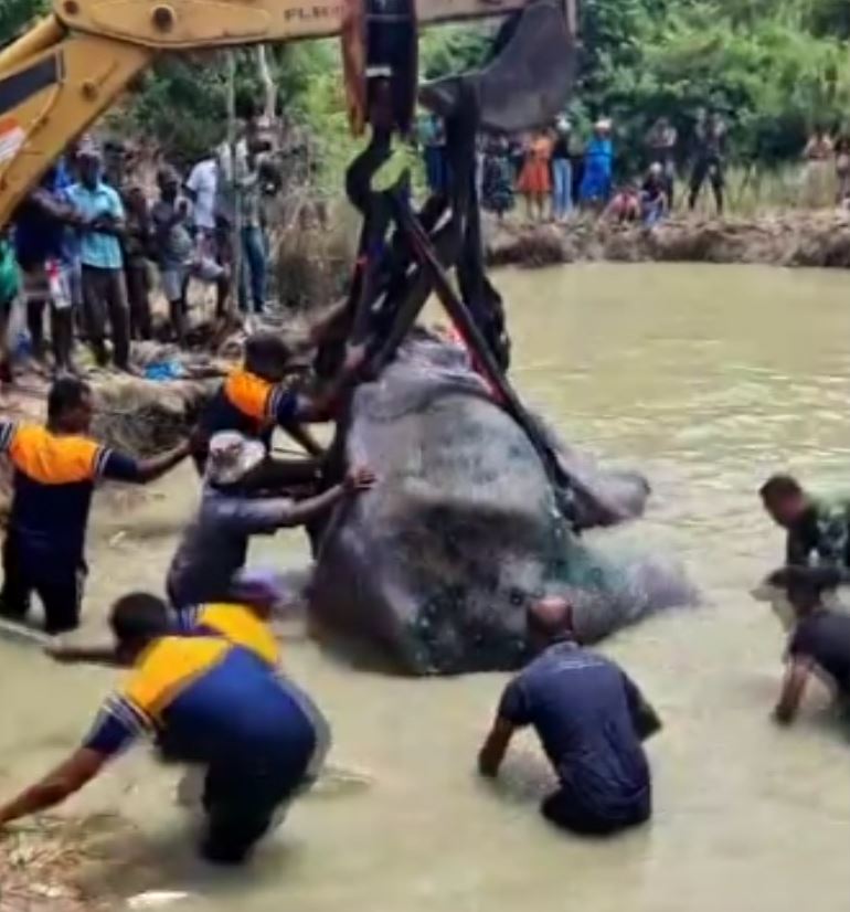 භාතිය අනෙක් ඇලයට මාරු කරයි (VIDEO) භාතිය අනෙක් ඇලයට මාරු කරයි (VIDEO)