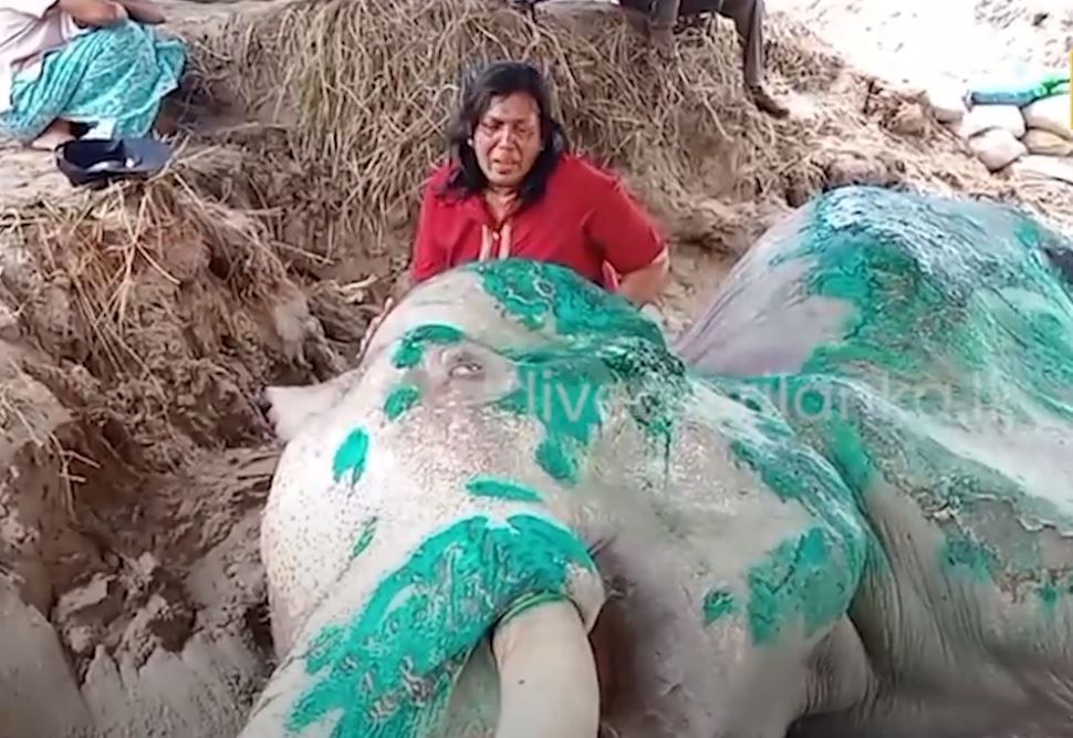 මියගිය භාතියට අවසන් ගෞරව දැක්වීමට පැමිණි ජනයා සංවේදී වෙයි මියගිය භාතියට අවසන් ගෞරව දැක්වීමට පැමිණි ජනයා සංවේදී වෙයි