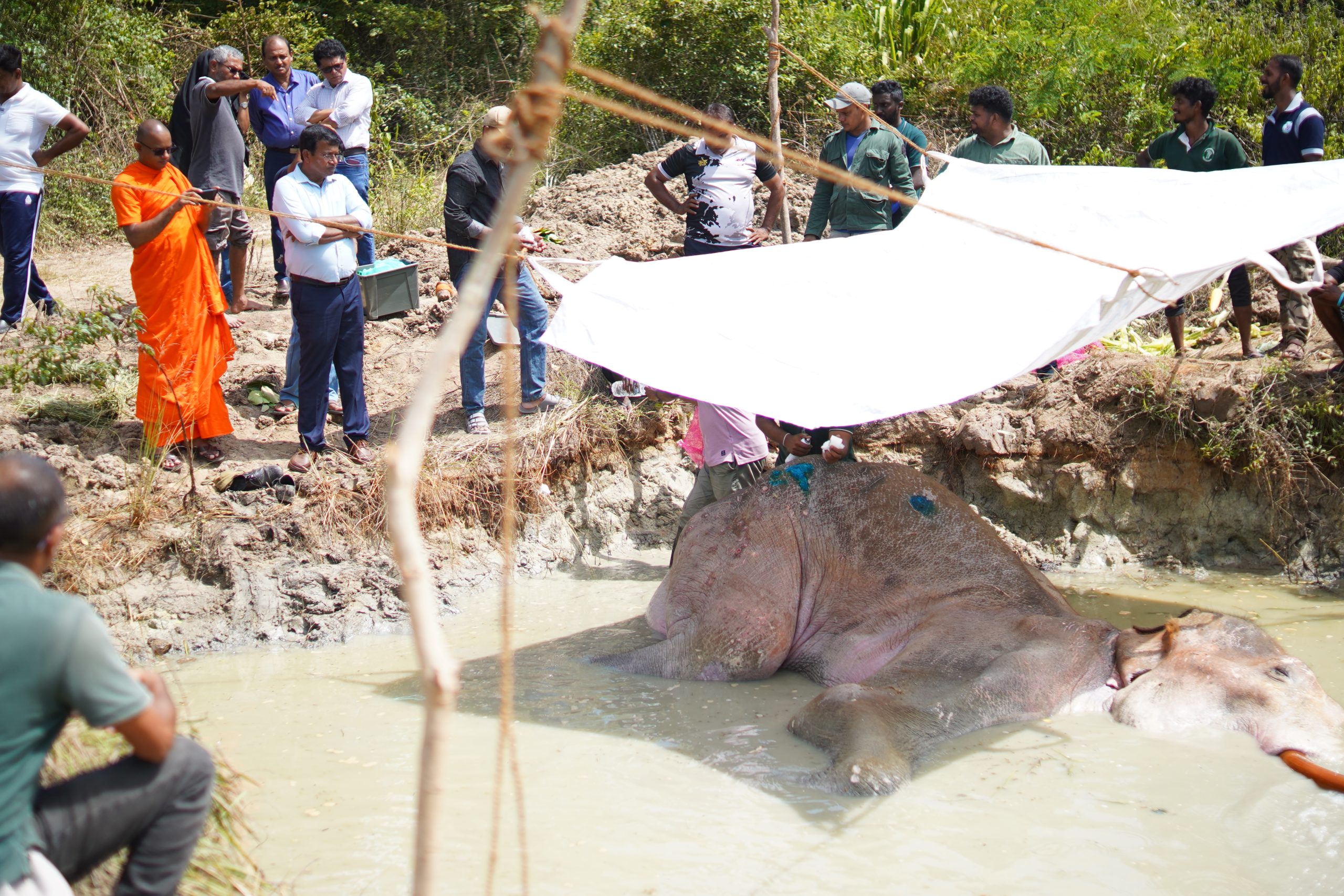 රෝගාතුරව සිටින භාතිය බලන්න ගිය ඇමති සහ නියෝජ්ය ඇමති රෝගාතුරව සිටින භාතිය බලන්න ගිය ඇමති සහ නියෝජ්ය ඇමති