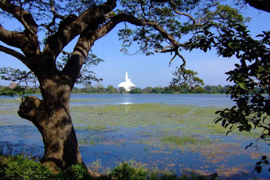 නුවරවැව සංවර්ධනයට ගොවි සංවිධාන හරස්කපයි නුවරවැව සංවර්ධනයට ගොවි සංවිධාන හරස්කපයි