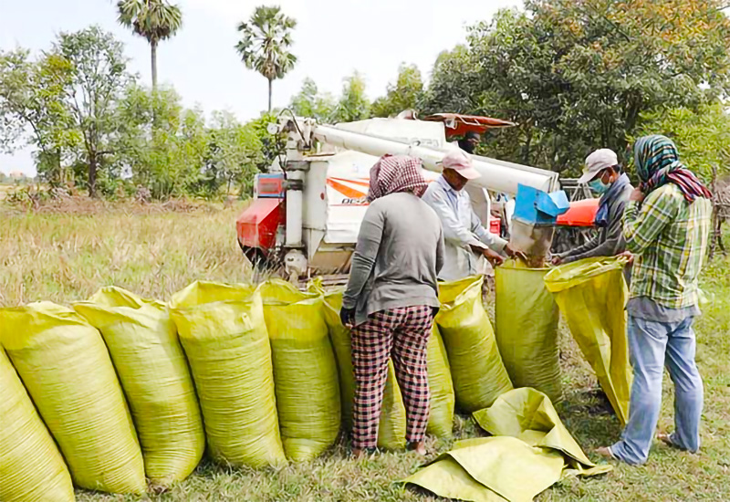 ගොවීන් ගෙන් ආණ්ඩුවේ වී මිලට දොස් ගොවීන් ගෙන් ආණ්ඩුවේ වී මිලට දොස්