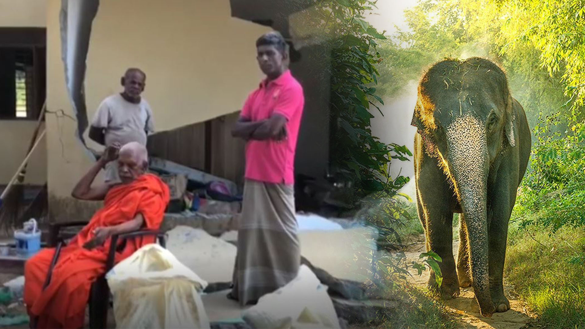 අරලගංවිල වන අලියෙක් විහාරයට පැනලා – ආවාස ගේත් කඩලා (VIDEO)