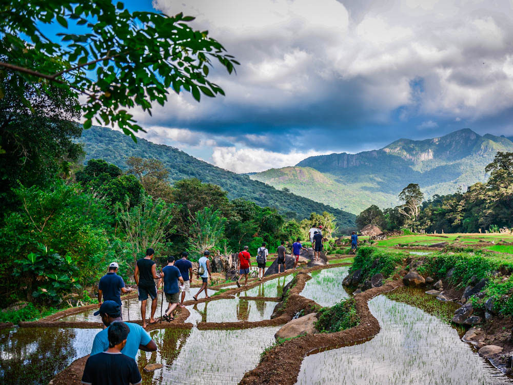 කියන තුරු මීමුරේ එන්න එපා! මහනුවර දිසාපති දැනුම් දෙයි කියන තුරු මීමුරේ එන්න එපා! මහනුවර දිසාපති දැනුම් දෙයි