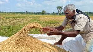 තෙත නාඩු වී කිලෝව රු. 102 ට ගන්න මෝල් හිමියෝ ආණ්ඩුවට එකග වෙලා (VIDEO)
