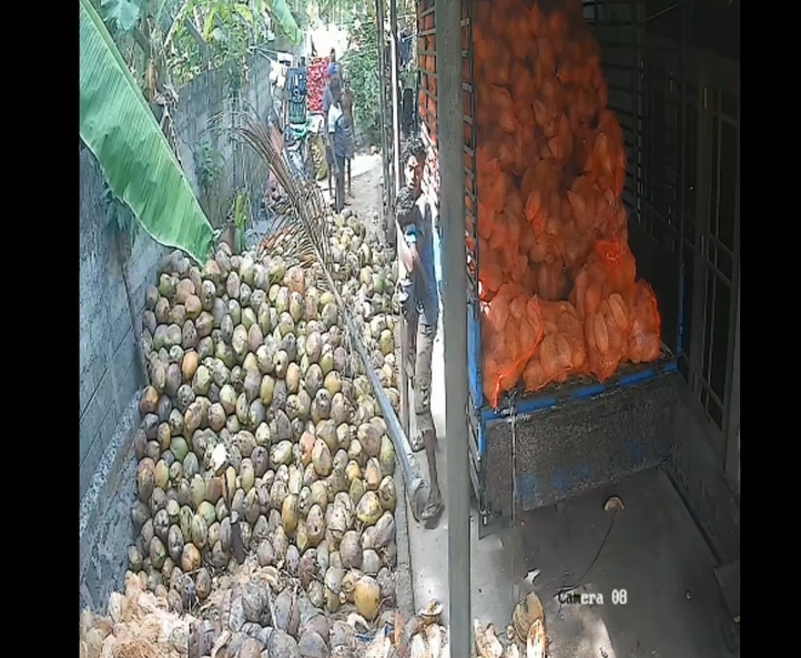 පොල් ගෙඩියක් අවුරුදු 2 ක දරුවාට මරු ගෙනේ (VIDEO -CCTV)