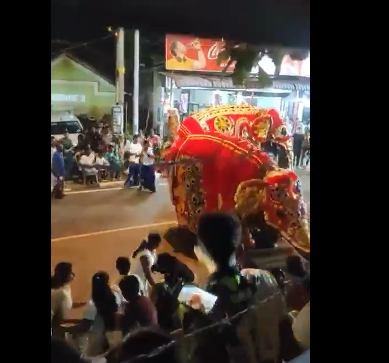 දෙවිනුවර පෙරහරේ අලි කළබලයක් දෙවිනුවර පෙරහරේ අලි කළබලයක්