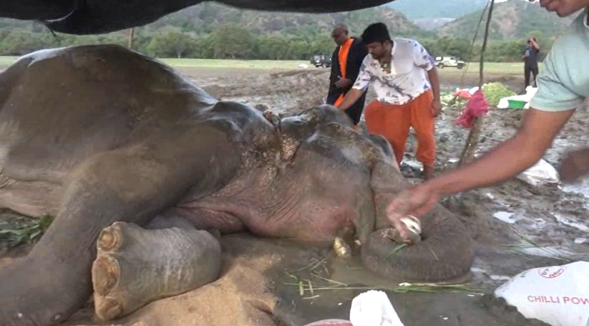 කණ්ඩලමේ  හැඩකාරයා ගොඩ ගන්න සිංහල බෙහෙත් සිංහල බෙහෙත් (VIDEO)