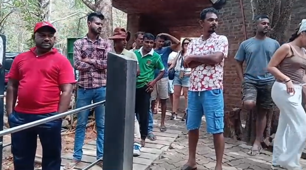 සංචාරකයින් පැය ගණන් රස්තියාදු කරන කවුඩුල්ල වනෝද්යානයේ ටිකට් පෝළිම් සංචාරකයින් පැය ගණන් රස්තියාදු කරන කවුඩුල්ල වනෝද්යානයේ ටිකට් පෝළිම්