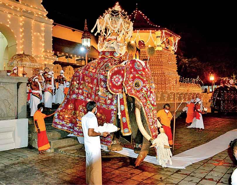 මහනුවර දළදා අවසන් කුඹල් පෙරහැර අද මහනුවර දළදා අවසන් කුඹල් පෙරහැර අද