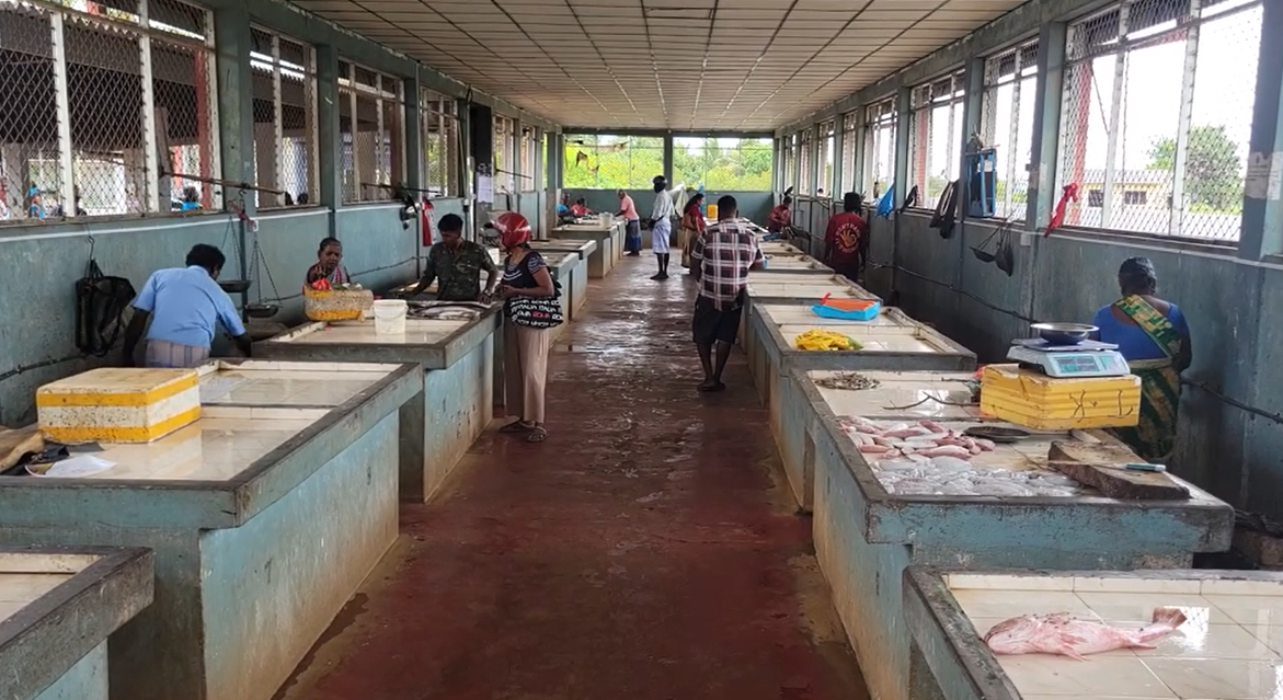 තැපැල්පතිගේ නියෝග නොතකා සේවක වර්ජනය ක්රියාත්මකයි තැපැල්පතිගේ නියෝග නොතකා සේවක වර්ජනය ක්රියාත්මකයි